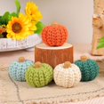 thumbnail image 2 of Artificial Pumpkins Crocheted Harvest Fall Thanksgiving Table Decors Small Pumpkin Harvest Miniature Pumpkins, 2 of 7