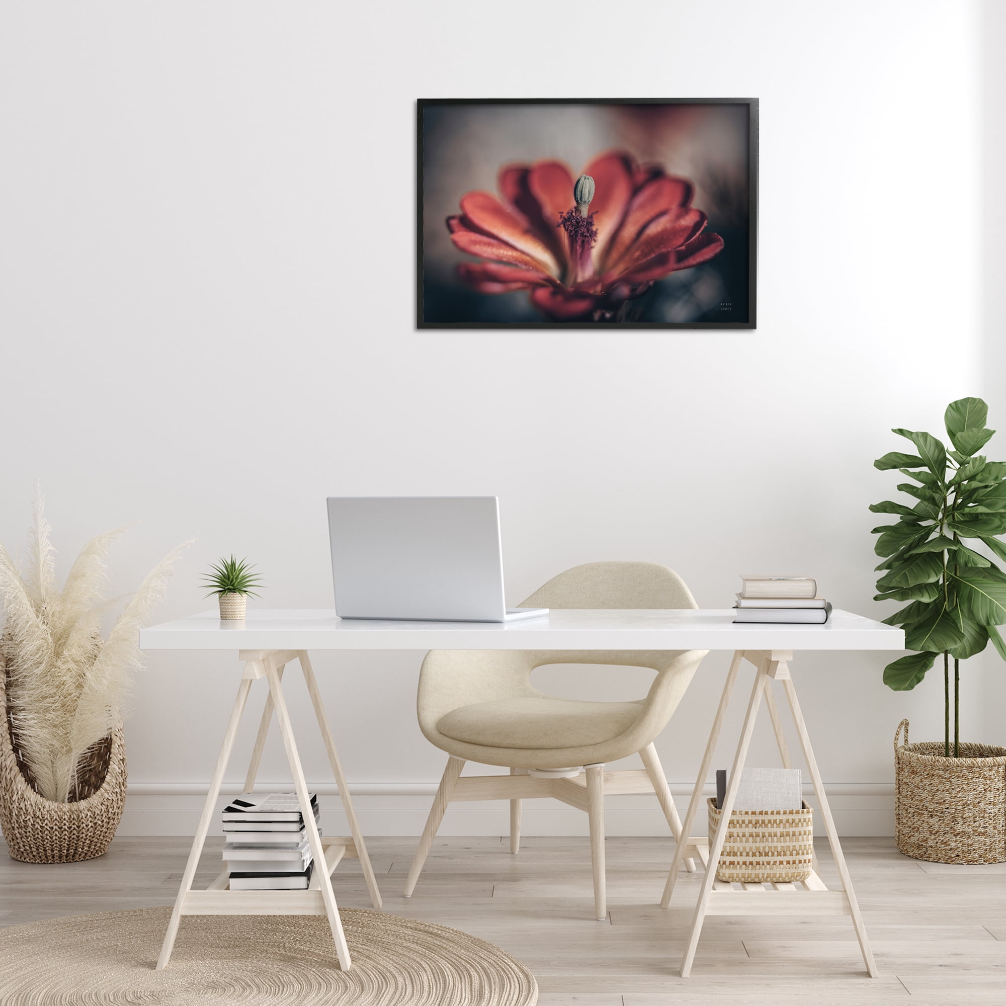 Stupell Industries Red Elevation Bloom Botanical & Floral Photography Black Framed Art Print Wall Art, 30 x 20