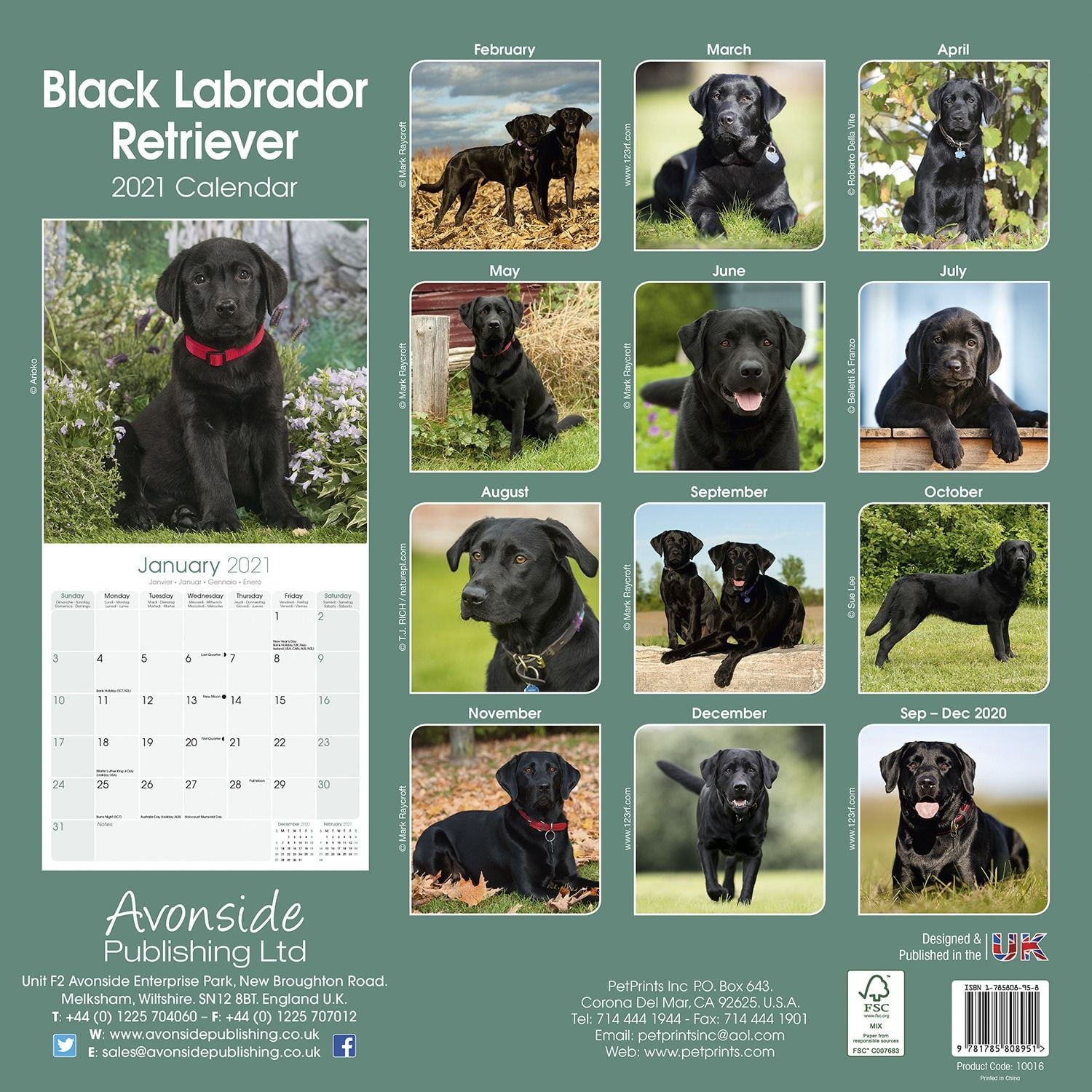 Labrador Retriever Calendar 2021 Black Dog Breed Calendar Premium Wall Calendar 2020 2021 Walmart Com Walmart Com labrador kalender 2021