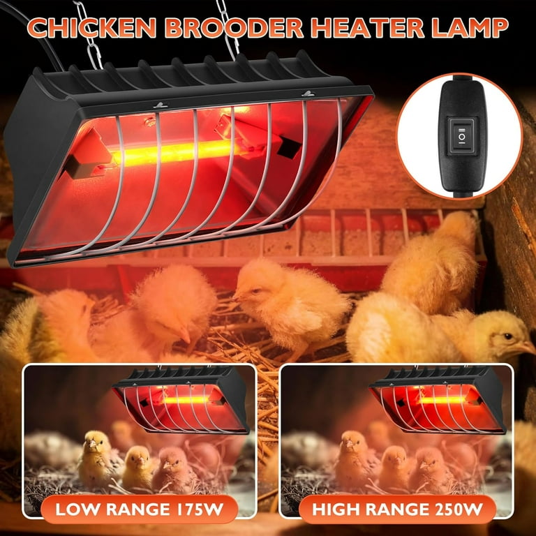XZKING Chicken Coop Heat Lamp for Dog Kennel, Cat Bed, Reptiles