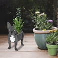 thumbnail image 3 of Xihbxyly Maceta con Forma de Perro, Bonita Maceta de Pvc, Diseño Desmontable, Ideal para Interior y Exterior, Fácil Drenaje, Decoración de Jardín, Maceta para Suculentas, Incluye 1 Maceta., 3 of 3