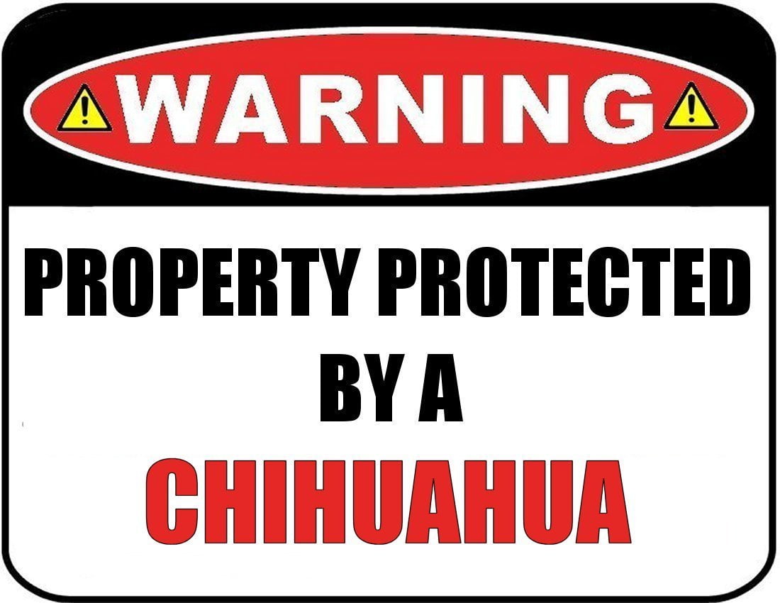 Details about   "Warning Protected By Chihuahua Security" Laminated Dog Sign