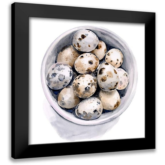 Parker, Jennifer Paxton 12x12 Black Modern Framed Museum Art Print Titled - Quail Egg Study II