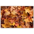 thumbnail image 1 of Picture-Tiles.com: Autumn Ceramic Tile Wall Mural WAL500038-64S. 25.5"W x 17"H using (24) 4.25" x 4.25" Ceramic Tiles-Satin Finish, 1 of 3