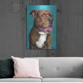 thumbnail image 6 of Luxe Metal Art 'Staffordshire Bull Terrier' by Rebecca Wang Art, Metal Wall Art, 24"x36", 6 of 9