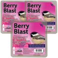 thumbnail image 1 of Pasteles de sebo para aves Berry Blast de Heath Outdoor Products, paquete de 3, 1 of 2