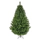 thumbnail image 1 of ARBOL DE NAVIDAD SIERRA VERDE DE 205 CM NAVIPLASTIC PINO ARTIFICIAL, 1 of 3