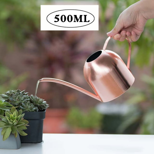 Fiudx Regadera de Acero Inoxidable, Boquilla Larga de Precisión, Tamaño Pequeño para Plantas de Interior, Acabado Cepillado, Capacidad de 500 Ml, Elegante Diseño En Oro Rosa.