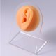 thumbnail image 5 of Modelo de Parte Del Cuerpo shamjiam 3 Uds Modelado Práctico de Silicona Piel, 5 of 9