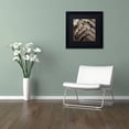 thumbnail image 3 of Trademark Fine Art "Florison 51" Canvas Art by Alan Blaustein, Black Matte, Black Frame, 3 of 4