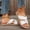 White, variant on Floleo Women's Cross Strap Fabric Slide Sandals, Open Toe Woven Trim Midsole Slip-On Footwear, Five Solid Tone Lightweight Non-Slip Summer Casual & Beach Slippers(Orange,7)