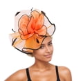 thumbnail image 3 of CAIXIA Fascinators Hat for Women Tea Party Headband Kentucky Derby Wedding Flower Cocktail Mesh Feathers Hair Clip, 3 of 8