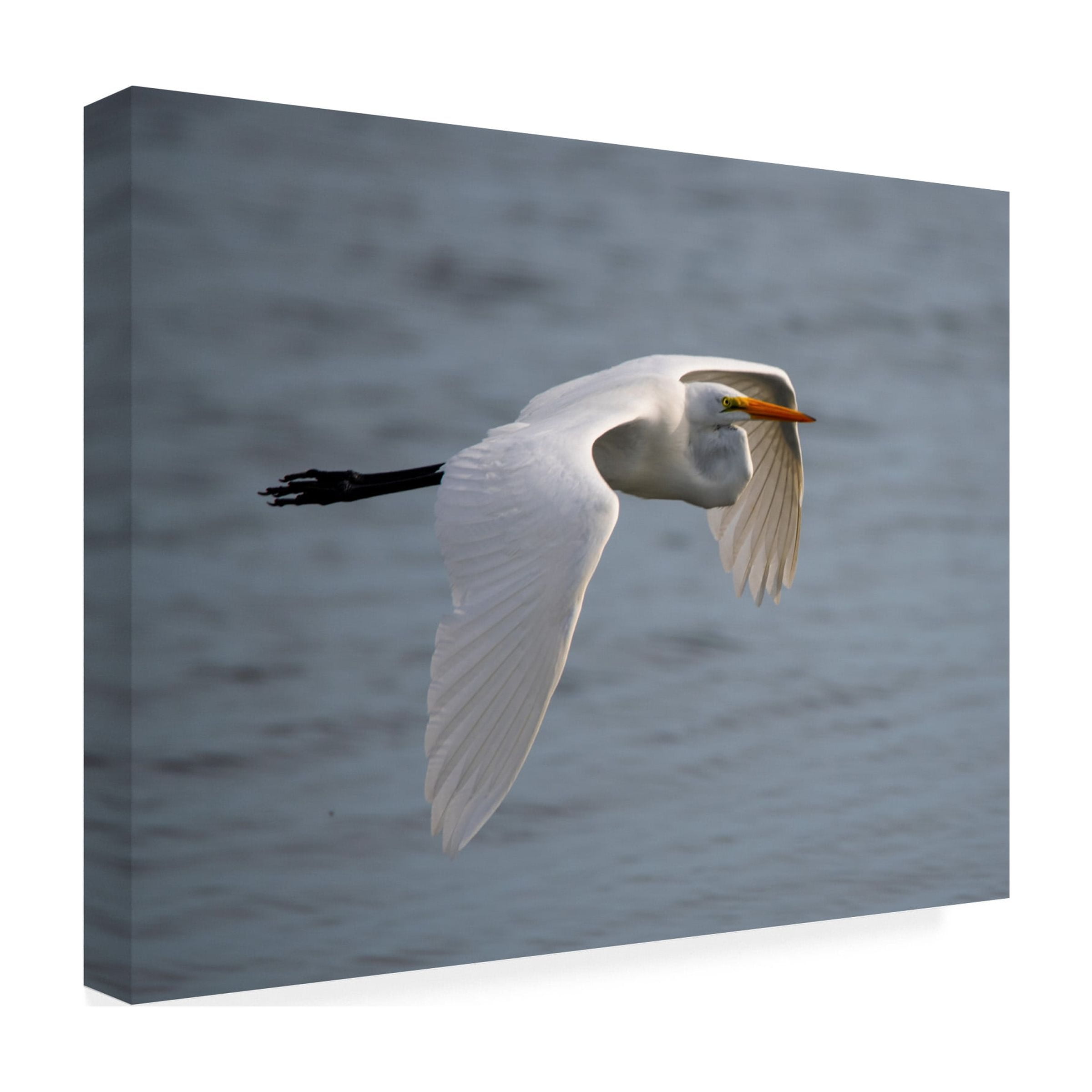 Robert Michaud 'Egret 2' Canvas Art