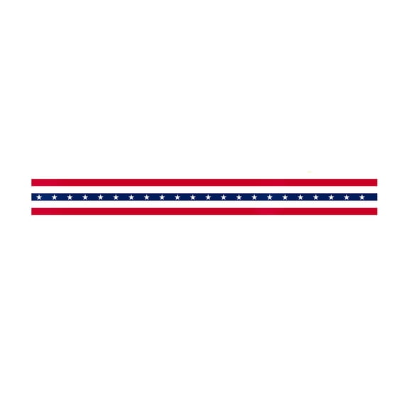 250 Anniversary Usa Banner American Flags for Outside Red White Blue Star Pleated Fan Hangs Independence Day Party Outdoor Holiday Home Porch Ornament,19.7 x 236 in