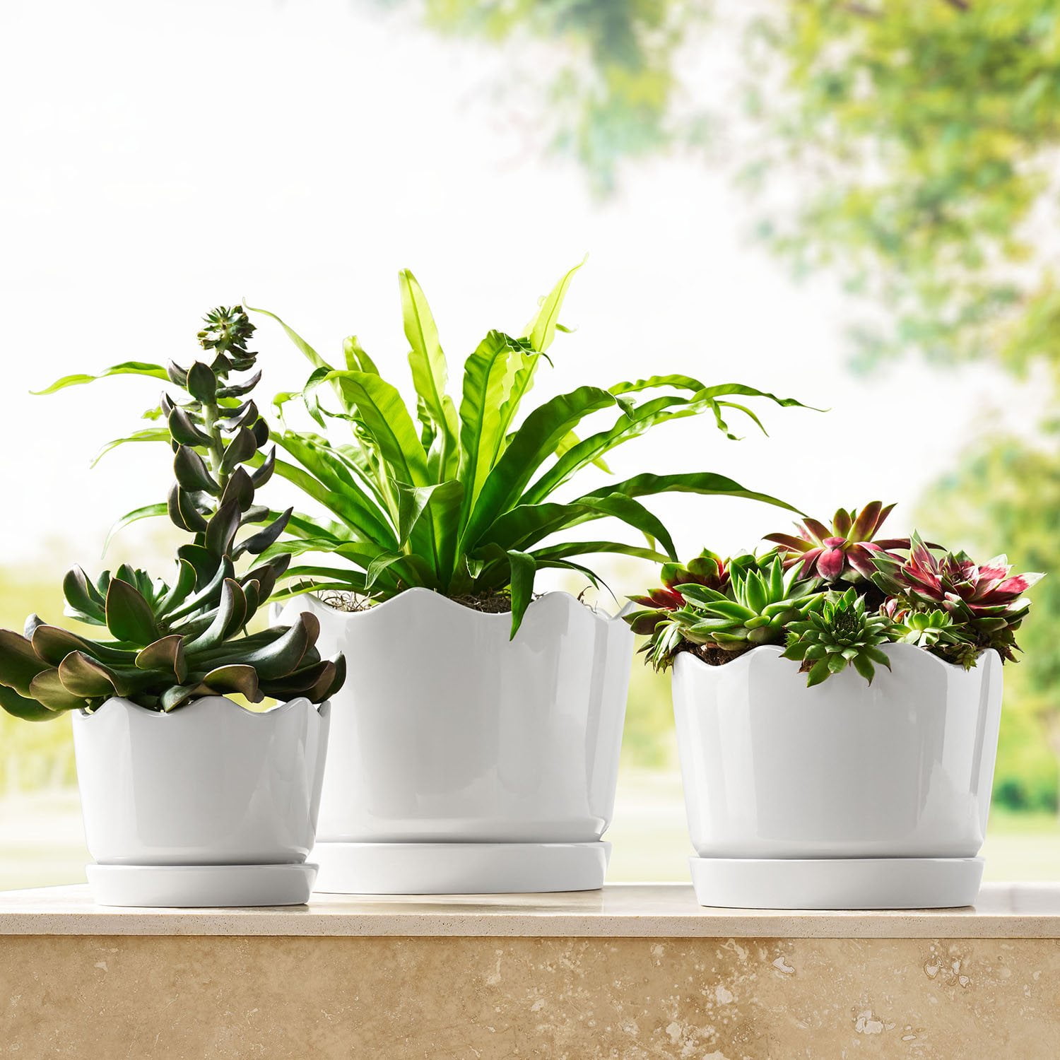 Member's Mark Ceramic Planters with Saucers, Set of 3