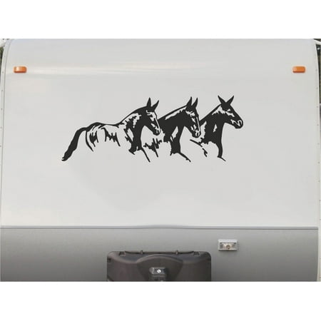 Equestrian Horseback Riding Horse Trailer Vinyl Decals Enclosed Trailer Stickers Graphics Mural 227