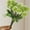 White, variant on Tunhigl Realistic Artificial Dandelion Flowers 5-Pack for Wedding Decor, Silk Hydrangea-Like Bouquet - Perfect Floral Arrangement for Home and Events Yellow