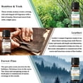 thumbnail image 7 of EUQEE Woody Scented Oil Gift Set with Forest Pine, Warm Rustic Woods, Bamboo & Teak, Cedarwood, Leather, Sweet Tobacc - Grandpa's Woodshop, 6 x 10ML, 7 of 7