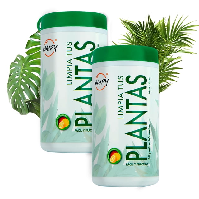 Limpiador de Plantas (60 Unidades) | Toallitas Humedas | Protección y Brillo Natural con Aceites y Extracto de Toronja | Abrillantador de Plantas Biodegradables Para Lucir Flores | WAIPY