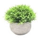 thumbnail image 1 of Plantas artificiales Plástico Falso Mini Hierba verde Flor Topiary Arbustos Wmkox8yii  HKAHFKAH17, 1 of 2