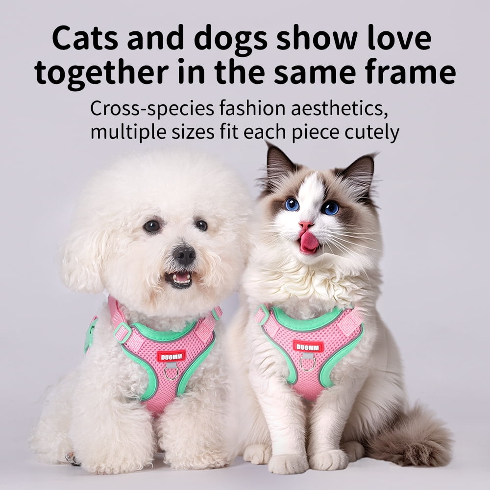 Small Dog and Cat&nbsp;Vest Harness Leash Set,Soft Breathable Mesh Adjustable Jacket&nbsp;for Puppy Fat Cat Outdoor Walking,with Reflective Strip