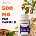 thumbnail image 6 of (3 pack) Vitamatic Berberine Supplement 500mg - 60 Vegetable Capsules - Made in The USA - Gluten Free - Non-GMO, 6 of 10