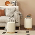 thumbnail image 4 of Costway Ensemble de 2 Ottomans de Rangement en Velours, Ottomans Ronds Modernes avec Rangement pour Salon, 4 of 8