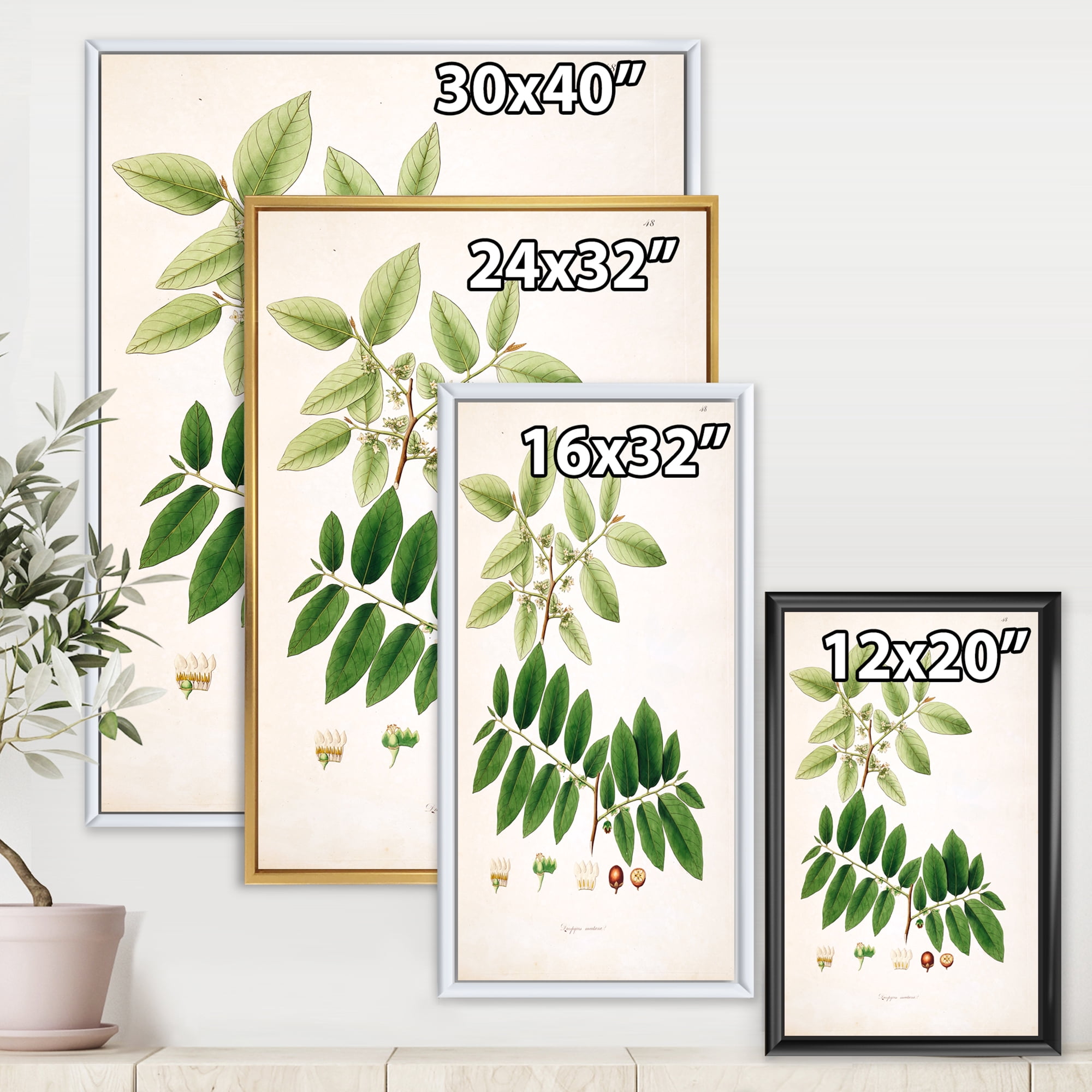 Designart 'Ancient Botanicals XIV' Farmhouse Framed Canvas Wall Art Print