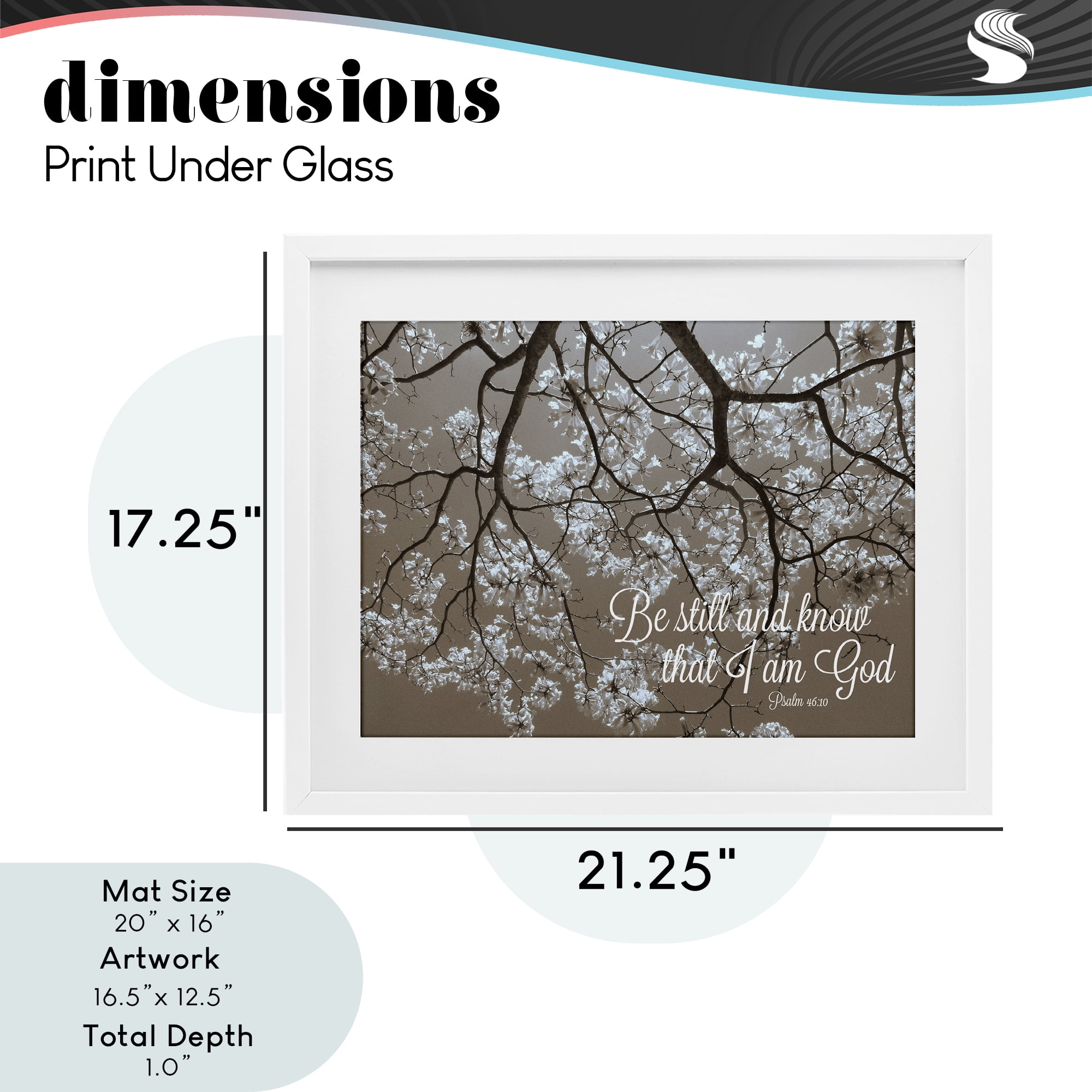 Stupell Industries Be Still Apple Blossoms White Framed Print Under Glass, design by Gail Peck