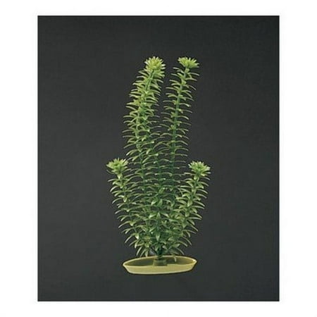 Marina Aquascaper Anacharis Plant 12 Tall