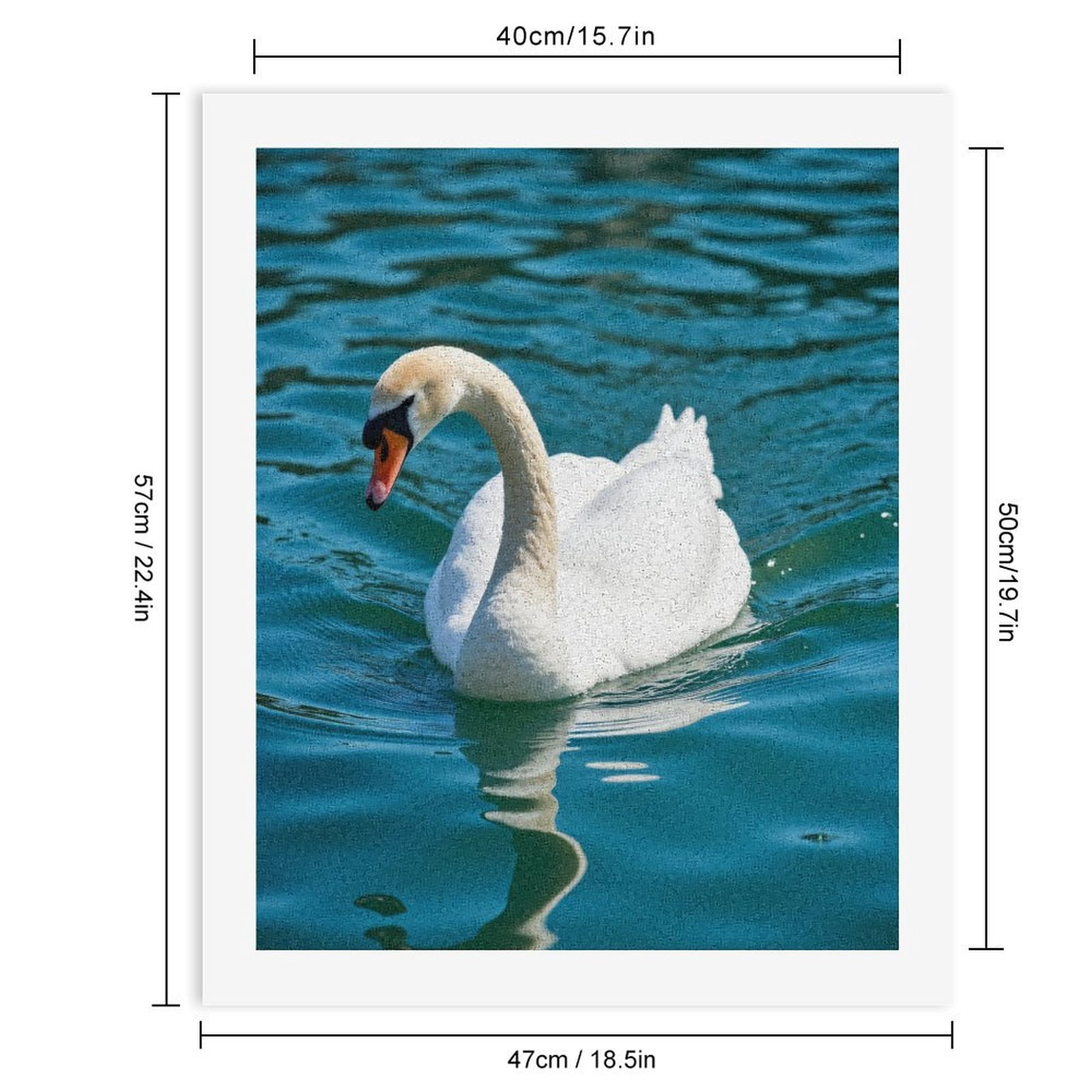 Paint by Numbers Kit for Adults, Graceful Swan Reflective Water Paint by Numbers, Easy Paint by Numbers Kit for Adults Beginner, DIY Adult Paint by Number Kits on Canvas, 12x16in Home Decor