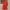 Red, variant on Dihao Rompers for Women Clearance Plus Size Women'S Spring and Summer Solid one Shoulder Sloose Fitting Casual one-Piece Shorts Pleated Shorts