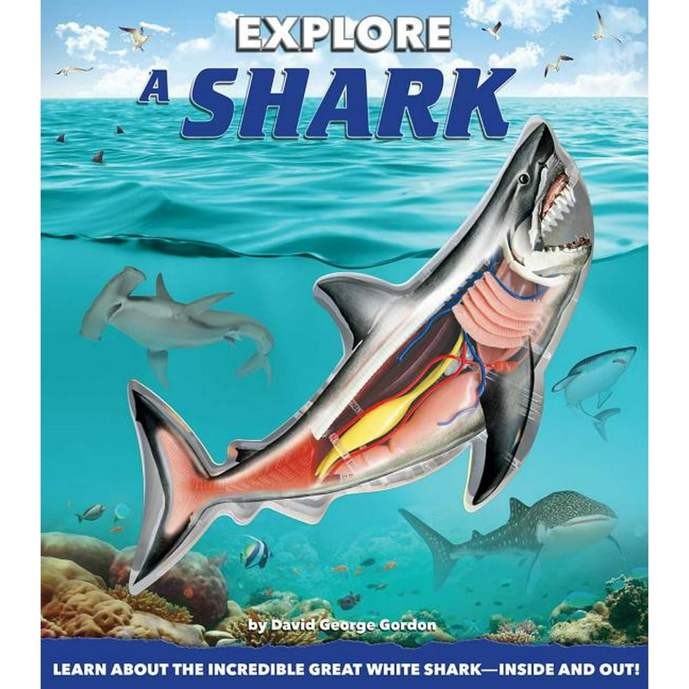 Explore a Shark - Walmart.com - Walmart.com