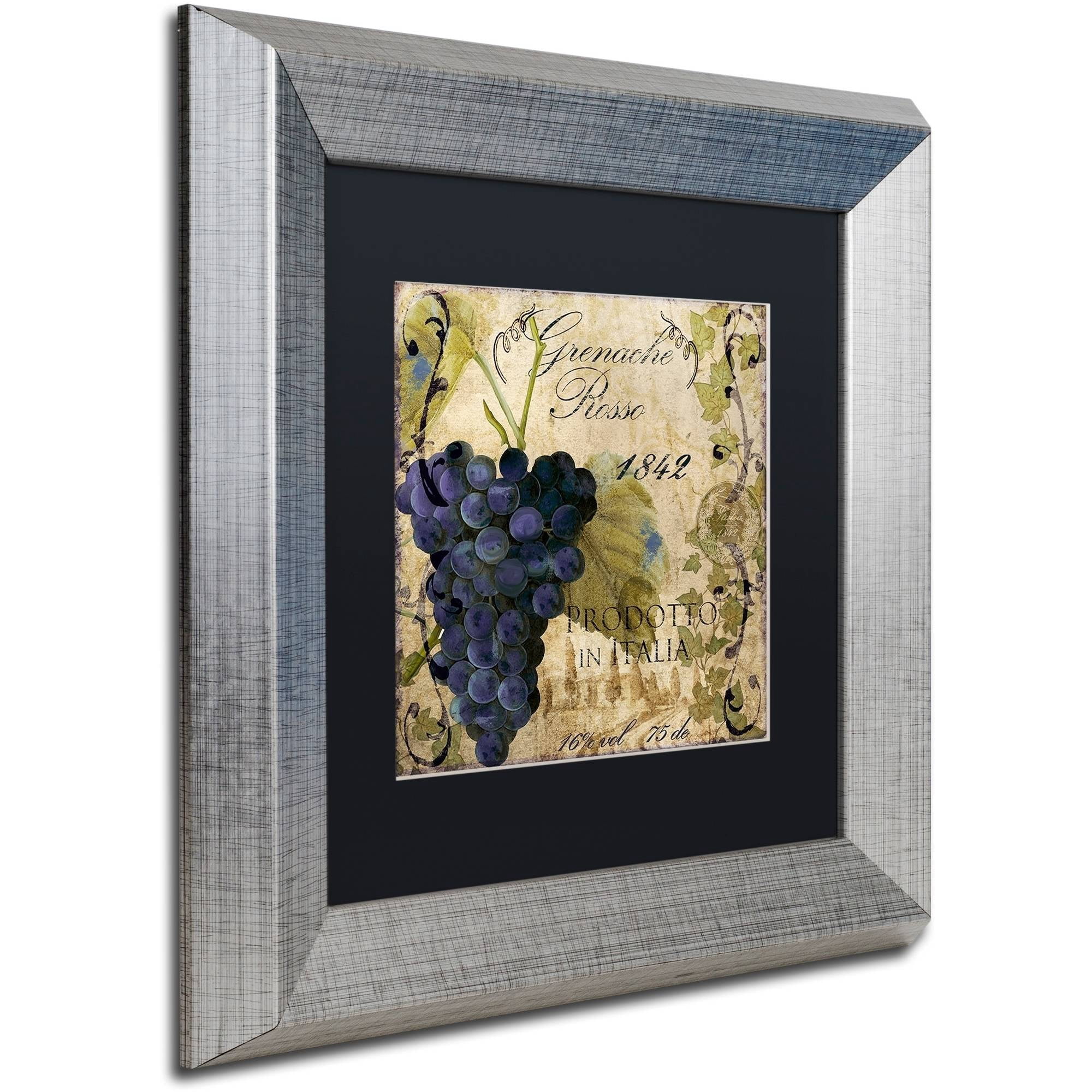 Trademark Fine Art "Vino Italiano III" Canvas Art by Color Bakery Black Matte, Silver Frame