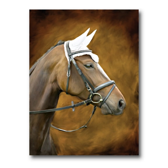 Designart ' Close Up Portrait Of Brown Horse With White Ears ' Farmhouse Canvas Wall Art Print