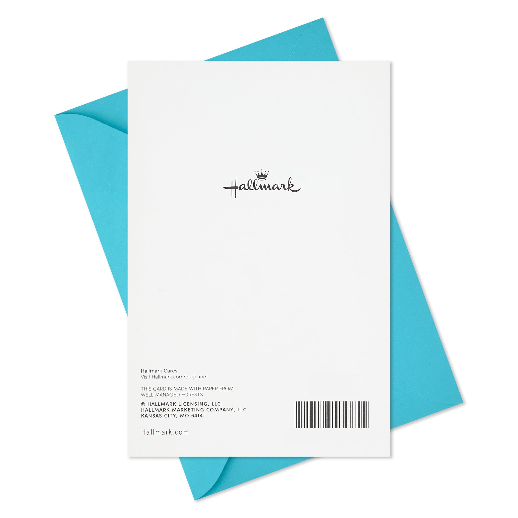 Hallmark Thank You Card (You're So Appreciated)