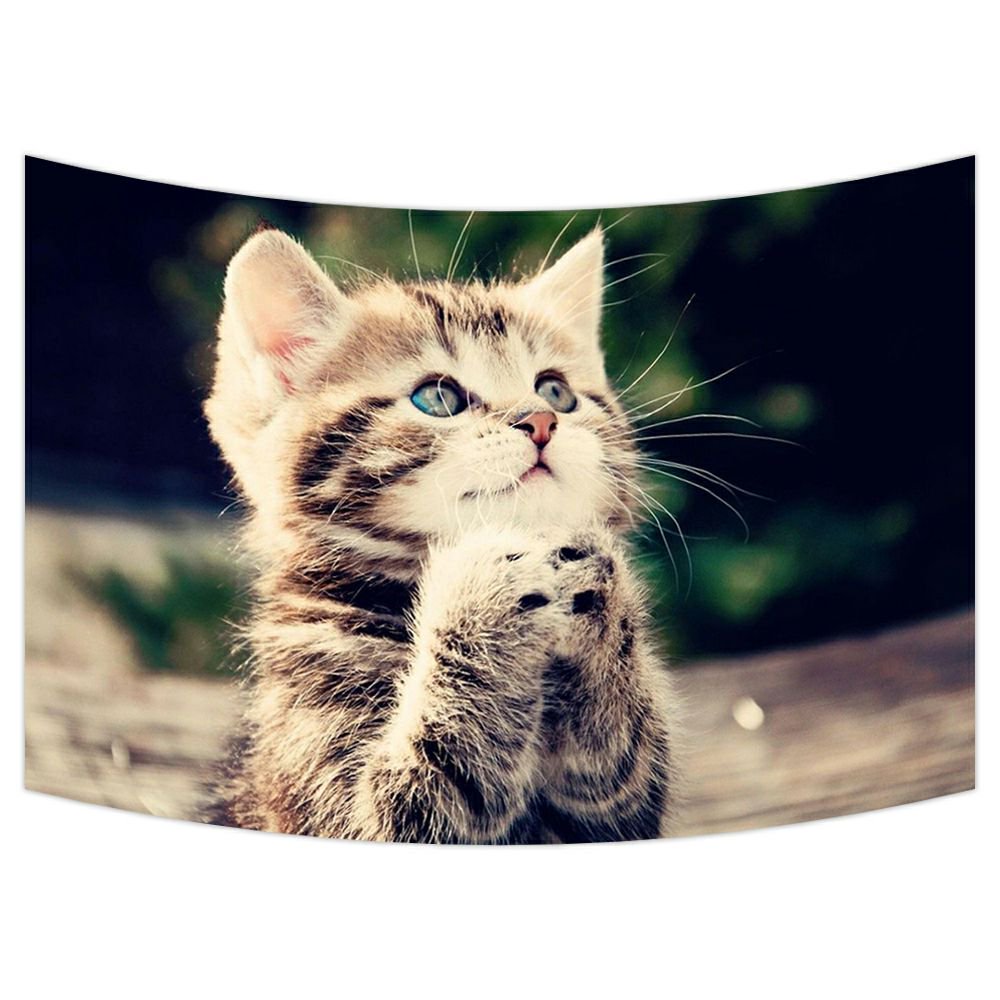 ZKGK Animals Kitten Cat Tapestry Wall Hanging Wall Decor Art for Living Room Bedroom Dorm Cotton