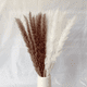 thumbnail image 3 of Pampas Secas 30pcs Plantas Decorativas Flores Artificiales 15Blanco+15Rojo 30Pcs, 3 of 5