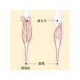 thumbnail image 3 of Elbow Bandage Compression Sleeve Wrap Elastic Support Brace Strap Arthritis Pain, 3 of 4