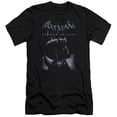 thumbnail image 2 of Batman Men's  Perched Cat Slim Fit T-shirt Black, 2 of 2