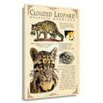 thumbnail image 1 of Clouded Leopard Wall Art Knowledge Poster Educational Wall Art Vintage Prints Decor Painting for Living Room Unframed 16×24 in, 1 of 5