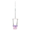 Bright Starts Purple Paradise Baby Door Jumper for 6-12 Months