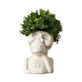 thumbnail image 5 of Ceramic Skull Planters, White Skeleton Bust Flower Pots, Halloween Tabletop Decor for Small Plants, 5 of 7
