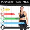 thumbnail image 2 of Bandas de resistencia zhiamz RESISTANCE BAND con asas y anclaje de puerta longitud ajustable 5 a 10 lbs, 2 of 5