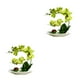 thumbnail image 1 of Orquídeas Artificiales Inteprter Plantas En Maceta Cuenco Blanco 2Conjunto Verde, 1 of 6