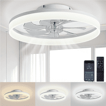 Ceiling Fan with Light and Remote & APP, 20" Low Profile Ceiling Fan, 3 ...