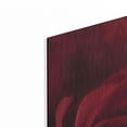 thumbnail image 2 of Luxe Metal Art 'The Red Rose I' by Lori Deiter, Metal Wall Art, 36"x36", 2 of 9