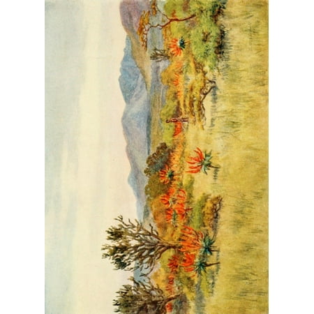 South Africa 1910 Hunting on the bush veld Stretched Canvas - AM Goodall (24 x