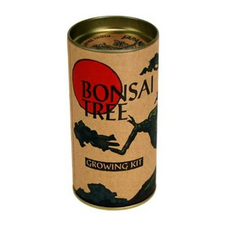 Bansai Tree Growing Kit - Complete Kit To Grow Japanese Black Bosai Trees From Seed