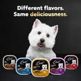 thumbnail image 6 of Cesar Classics Variety Pack Dog Food, 3.5 oz Trays (Pack of 48), 6 of 6